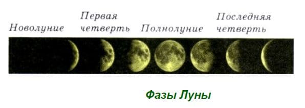 Ответы к сборнику вопросов и задач к учебнику 7-9 класс Перышкина автор Марон, Позойский (8 класс)