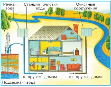 Ответы ГДЗ к учебнику окружающего мира за 1 класс, 1 часть (Плешаков) Школа России