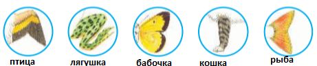 Ответы ГДЗ к учебнику окружающего мира за 1 класс, 1 часть (Плешаков) Школа России