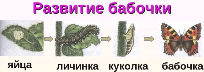 Ответы по Окружающему миру, 1 часть, 3 класс, учебник, Плешаков А.А. ГДЗ