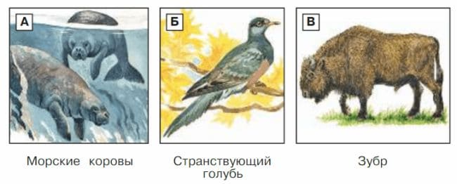 Ответы по Окружающему миру, 1 часть, 3 класс, учебник, Плешаков А.А. ГДЗ