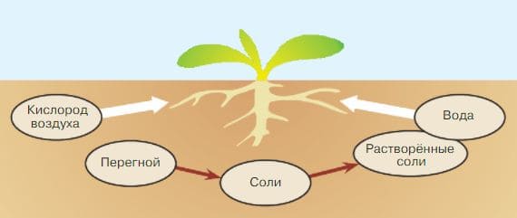 Ответы по Окружающему миру, 1 часть, 3 класс, учебник, Плешаков А.А. ГДЗ