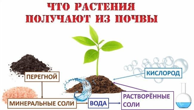 Ответы по Окружающему миру, 1 часть, 3 класс, учебник, Плешаков А.А. ГДЗ