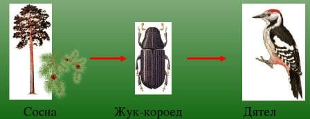 Ответы по Окружающему миру, 1 часть, 3 класс, учебник, Плешаков А.А. ГДЗ