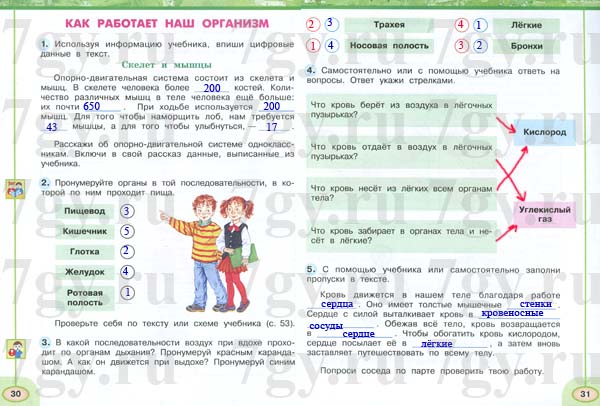 ГДЗ Окружающий мир 3 класс. Рабочая тетрадь 2 часть. Плешаков, Новицкая. Ответы на задания, решебник