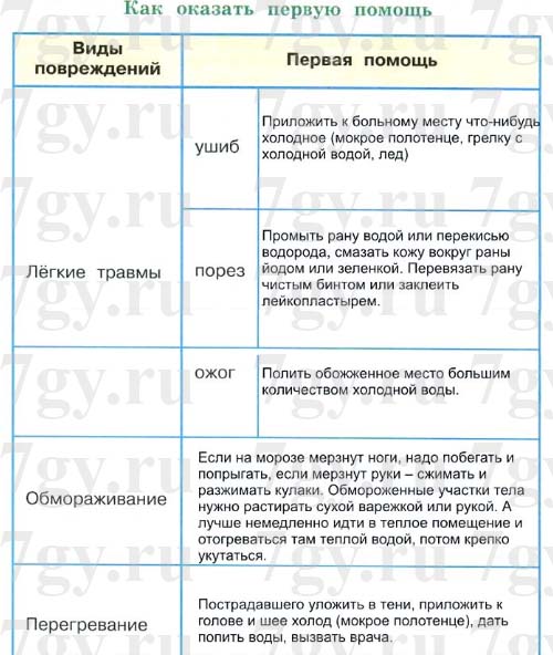 гдз окружающий мир 3 класс