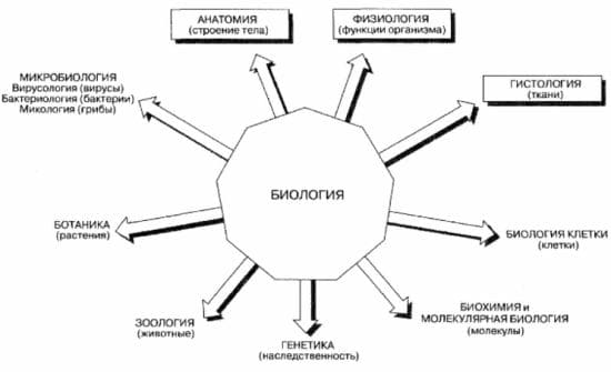 ГДЗ ответы для учебника по биологии 10 класс (Линия Жизни) Пасечник