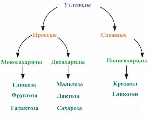 ГДЗ ответы для учебника по биологии 10 класс (Линия Жизни) Пасечник