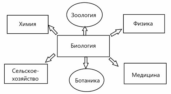 ГДЗ ответы для учебника по биологии 9 класс (Линия Жизни) Пасечник