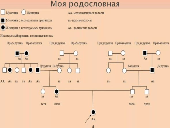 ГДЗ ответы для учебника по биологии 9 класс (Линия Жизни) Пасечник