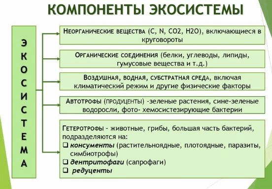 ГДЗ ответы для учебника по биологии 9 класс (Линия Жизни) Пасечник