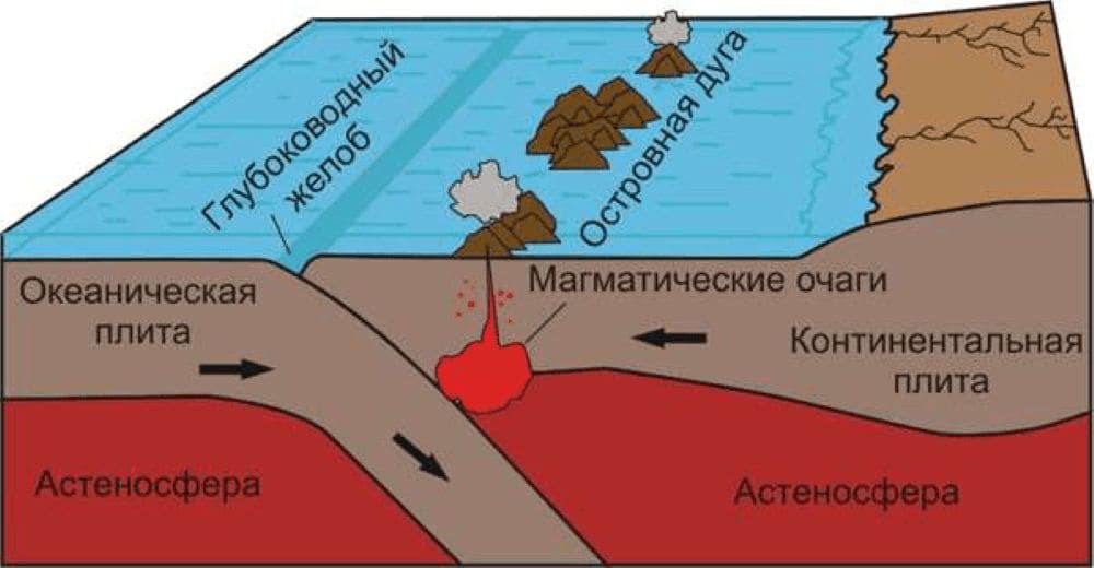 ГДЗ География 7 класс Алексеев, Николина, Липкина