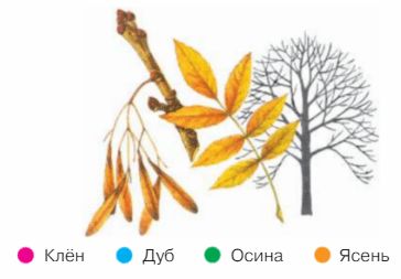 Ответы ГДЗ к учебнику окружающего мира за 1 класс, 1 часть (Плешаков) Школа России