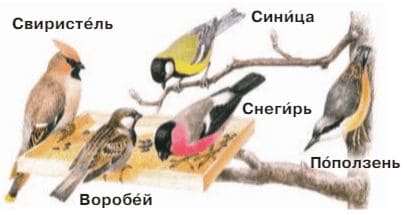 Ответы ГДЗ к учебнику окружающего мира за 1 класс, 1 часть (Плешаков) Школа России