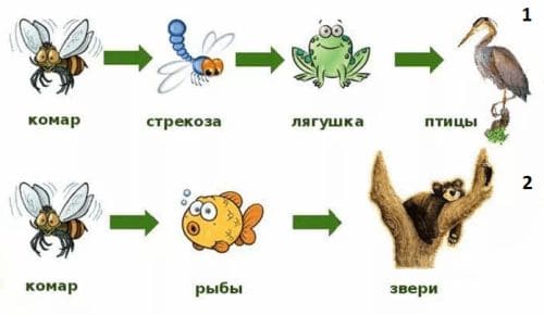 ГДЗ учебник по окружающему миру 2 класс, часть 1. Плешаков (Перспектива)