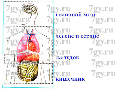 Собери модель-аппликацию