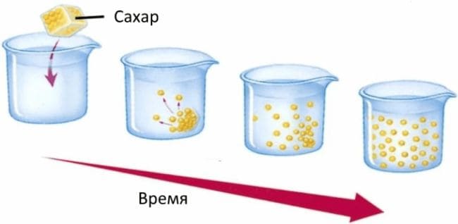 Ответы по Окружающему миру, 1 часть, 3 класс, учебник, Плешаков А.А. ГДЗ