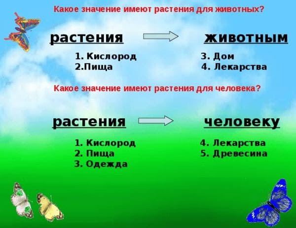 Ответы по Окружающему миру, 1 часть, 3 класс, учебник, Плешаков А.А. ГДЗ