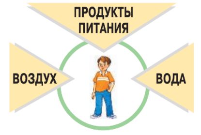 ГДЗ для учебника Окружающий мир 3 класс (часть 2) Плешаков