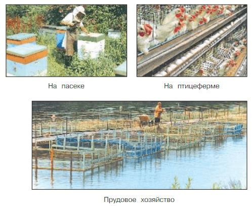 ГДЗ для учебника Окружающий мир 3 класс (часть 2) Плешаков