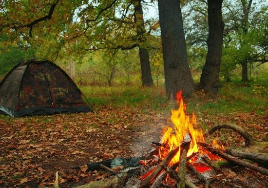 ГДЗ ответы для учебника по окружающему миру 4 класс (часть 1) Плешаков, Школа России 2019