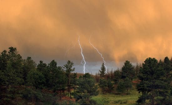 ГДЗ ответы для учебника по окружающему миру 4 класс (часть 1) Плешаков, Школа России 2019