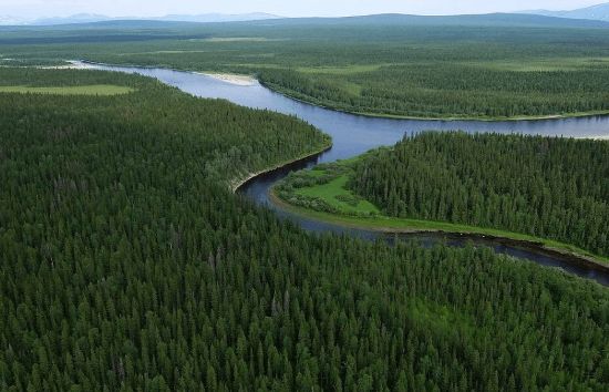 ГДЗ ответы для учебника по окружающему миру 4 класс (часть 1) Плешаков, Школа России 2019