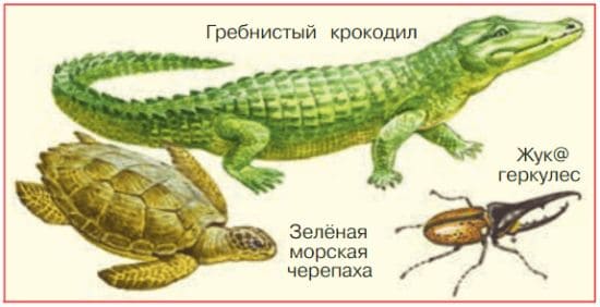 ГДЗ ответы для учебника по окружающему миру 4 класс (часть 1) Плешаков, Школа России 2019