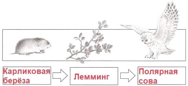 ГДЗ проверочные работы по окружающему миру 4 класс Плешаков, Крючкова