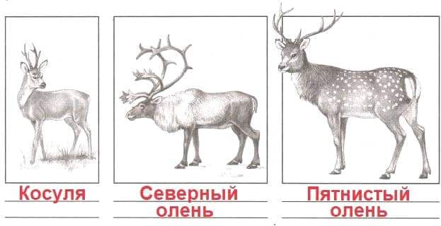 ГДЗ проверочные работы по окружающему миру 4 класс Плешаков, Крючкова