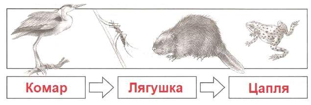 ГДЗ проверочные работы по окружающему миру 4 класс Плешаков, Крючкова