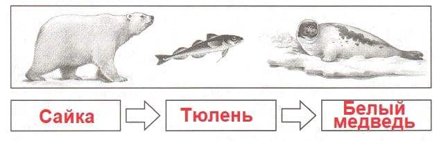 ГДЗ проверочные работы по окружающему миру 4 класс Плешаков, Крючкова