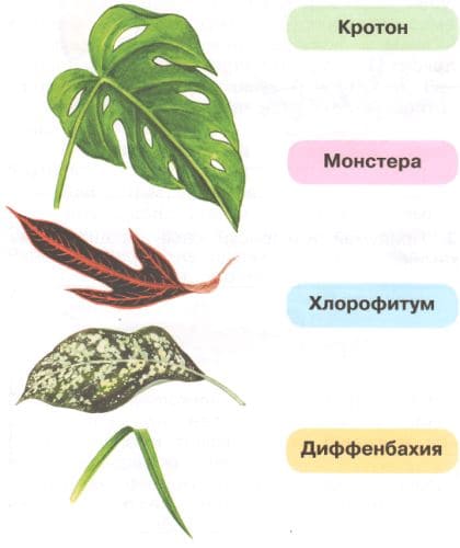 ГДЗ по Окружающему миру, 1 часть, 1 класс, тетрадь, Плешаков "Перспектива"