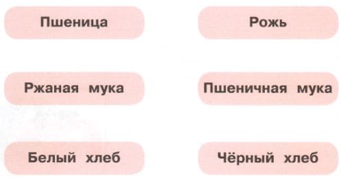 ГДЗ по Окружающему миру, 1 часть, 1 класс, тетрадь, Плешаков "Перспектива"