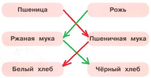 ГДЗ по Окружающему миру, 1 часть, 1 класс, тетрадь, Плешаков "Перспектива"