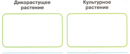 ГДЗ по Окружающему миру, 1 часть, 1 класс, тетрадь, Плешаков "Перспектива"