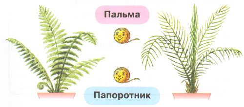 ГДЗ по Окружающему миру, 1 часть, 1 класс, тетрадь, Плешаков "Перспектива"