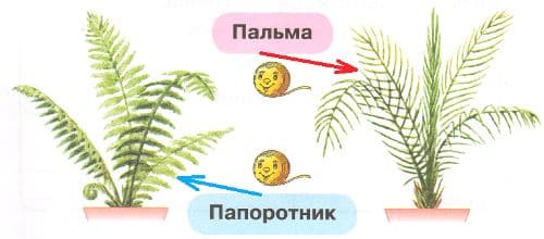 ГДЗ по Окружающему миру, 1 часть, 1 класс, тетрадь, Плешаков "Перспектива"