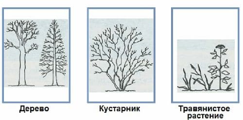 ГДЗ по Окружающему миру, 1 часть, 1 класс, тетрадь, Плешаков "Перспектива"