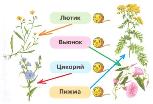 ГДЗ по Окружающему миру, 1 часть, 1 класс, тетрадь, Плешаков "Перспектива"