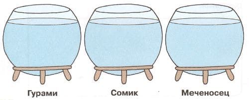 ГДЗ по Окружающему миру, 1 часть, 1 класс, тетрадь, Плешаков "Перспектива"