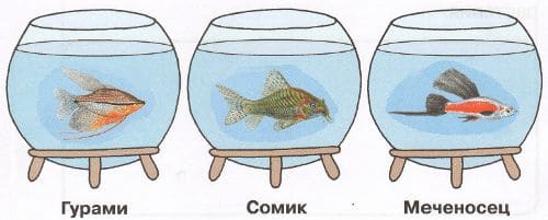 ГДЗ по Окружающему миру, 1 часть, 1 класс, тетрадь, Плешаков "Перспектива"