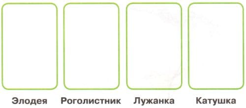 ГДЗ по Окружающему миру, 1 часть, 1 класс, тетрадь, Плешаков "Перспектива"