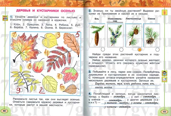 ГДЗ Окружающий мир 2 класс. Рабочая тетрадь 1 часть. Плешаков, Новицкая. Ответы на задания, решебник