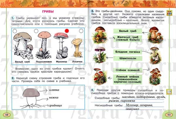 ГДЗ Окружающий мир 2 класс Рабочая тетрадь 1 часть. Плешаков, Новицкая. Ответы на задания тема грибы