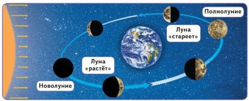 ГДЗ учебник по окружающему миру 2 класс, часть 1. Плешаков (Перспектива)