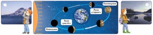 ГДЗ учебник по окружающему миру 2 класс, часть 1. Плешаков (Перспектива)