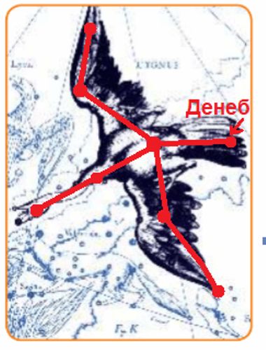 ГДЗ учебник по окружающему миру 2 класс, часть 1. Плешаков (Перспектива)