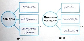 ГДЗ Окружающий мир 2 класс. Рабочая тетрадь вторая часть. Плешаков, Новицкая. Ответы на задания, решебник