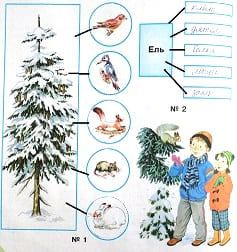 как связаны ель и лесные животные